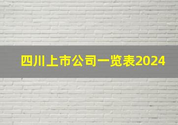 四川上市公司一览表2024