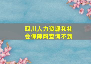 四川人力资源和社会保障网查询不到