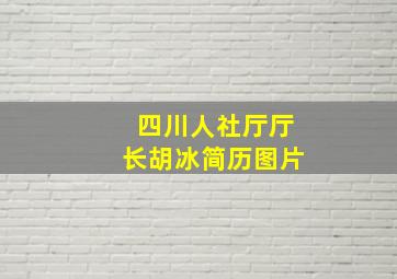 四川人社厅厅长胡冰简历图片