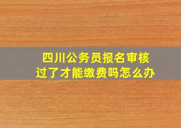 四川公务员报名审核过了才能缴费吗怎么办