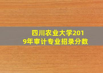 四川农业大学2019年审计专业招录分数