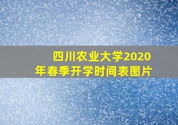 四川农业大学2020年春季开学时间表图片