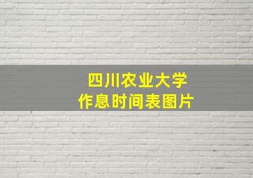 四川农业大学作息时间表图片