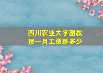 四川农业大学副教授一月工资是多少