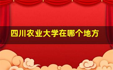 四川农业大学在哪个地方