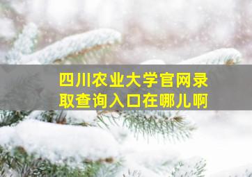 四川农业大学官网录取查询入口在哪儿啊