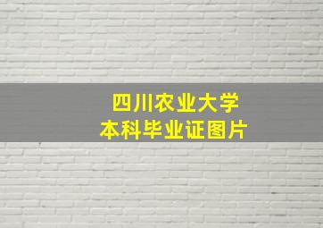 四川农业大学本科毕业证图片