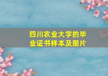 四川农业大学的毕业证书样本及图片