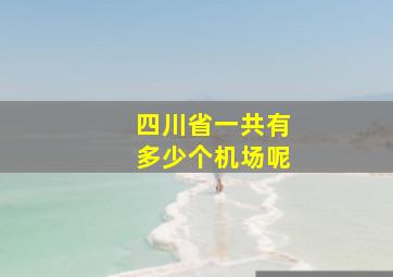 四川省一共有多少个机场呢