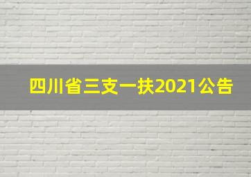 四川省三支一扶2021公告