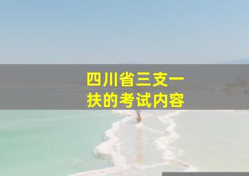 四川省三支一扶的考试内容