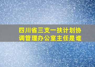 四川省三支一扶计划协调管理办公室主任是谁