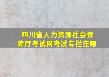 四川省人力资源社会保障厅考试网考试专栏在哪