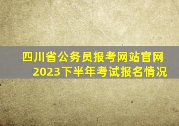 四川省公务员报考网站官网2023下半年考试报名情况