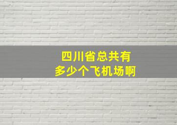 四川省总共有多少个飞机场啊