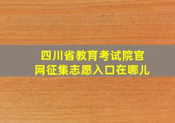 四川省教育考试院官网征集志愿入口在哪儿