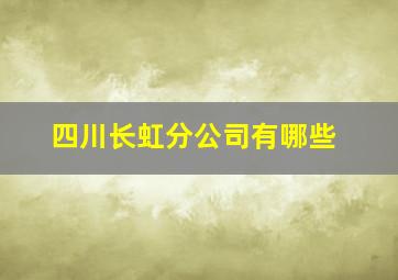 四川长虹分公司有哪些