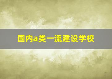 国内a类一流建设学校