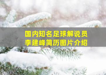 国内知名足球解说员李建峰简历图片介绍