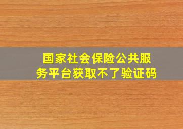 国家社会保险公共服务平台获取不了验证码