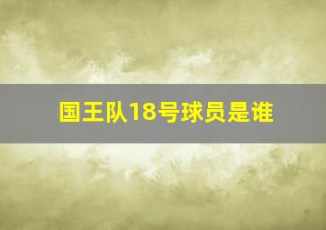 国王队18号球员是谁