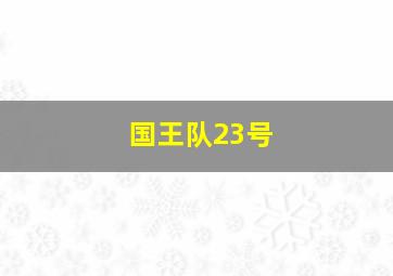 国王队23号