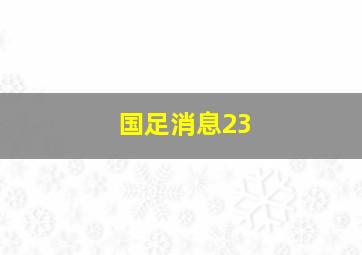 国足消息23