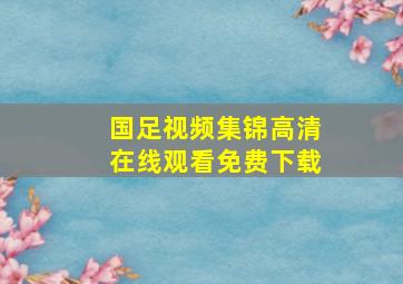 国足视频集锦高清在线观看免费下载