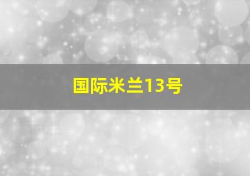 国际米兰13号