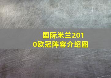 国际米兰2010欧冠阵容介绍图