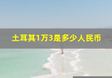 土耳其1万3是多少人民币