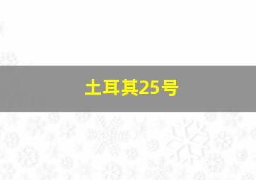 土耳其25号