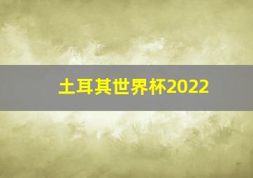 土耳其世界杯2022