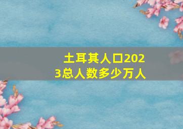 土耳其人口2023总人数多少万人