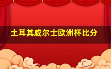 土耳其威尔士欧洲杯比分