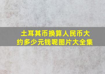 土耳其币换算人民币大约多少元钱呢图片大全集