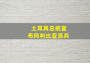 土耳其总统宣布向利比亚派兵