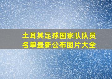 土耳其足球国家队队员名单最新公布图片大全