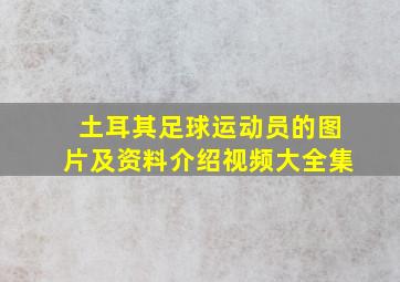 土耳其足球运动员的图片及资料介绍视频大全集