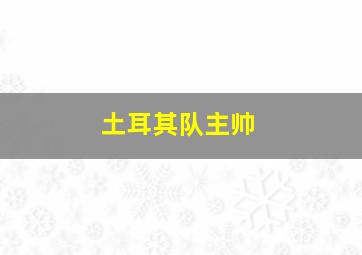 土耳其队主帅