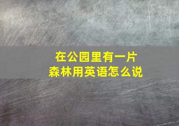 在公园里有一片森林用英语怎么说