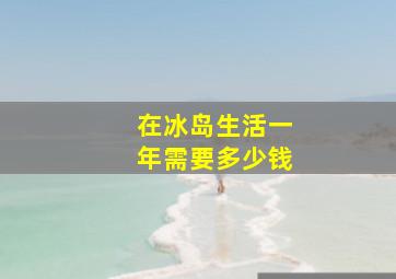 在冰岛生活一年需要多少钱