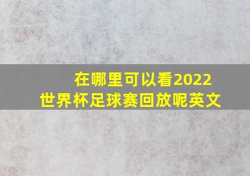 在哪里可以看2022世界杯足球赛回放呢英文