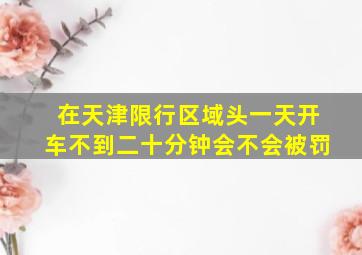 在天津限行区域头一天开车不到二十分钟会不会被罚