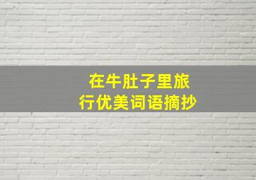 在牛肚子里旅行优美词语摘抄