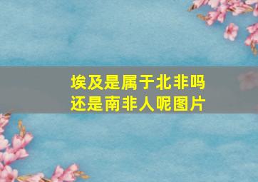 埃及是属于北非吗还是南非人呢图片