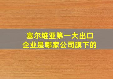 塞尔维亚第一大出口企业是哪家公司旗下的