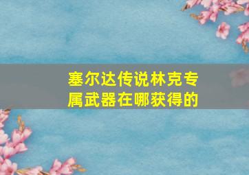 塞尔达传说林克专属武器在哪获得的