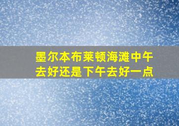 墨尔本布莱顿海滩中午去好还是下午去好一点