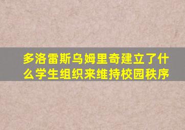 多洛雷斯乌姆里奇建立了什么学生组织来维持校园秩序